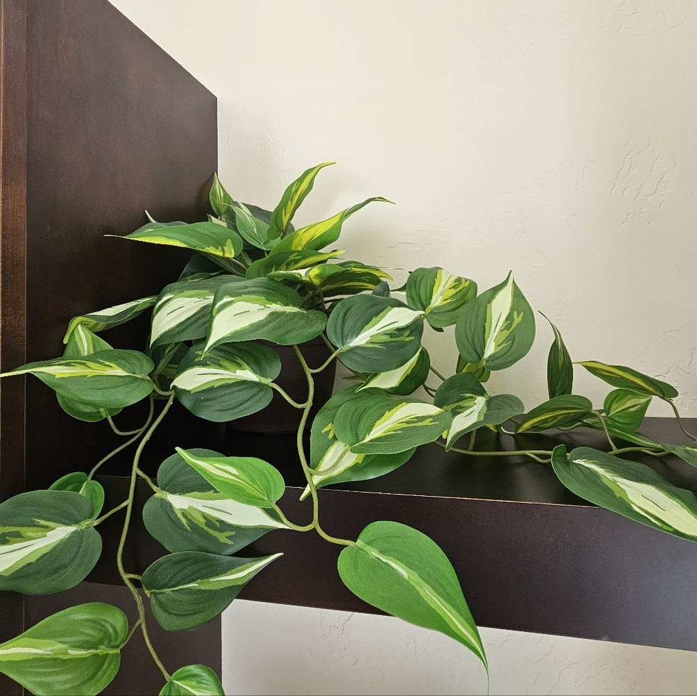 Artificial Pothos Trailing Plant